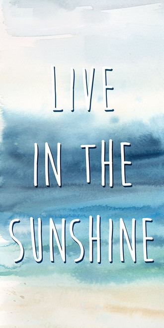 Live In The Sunshine Panel A Poster Print by Cynthia Coulter - Item # VARPDXRB12418CCA