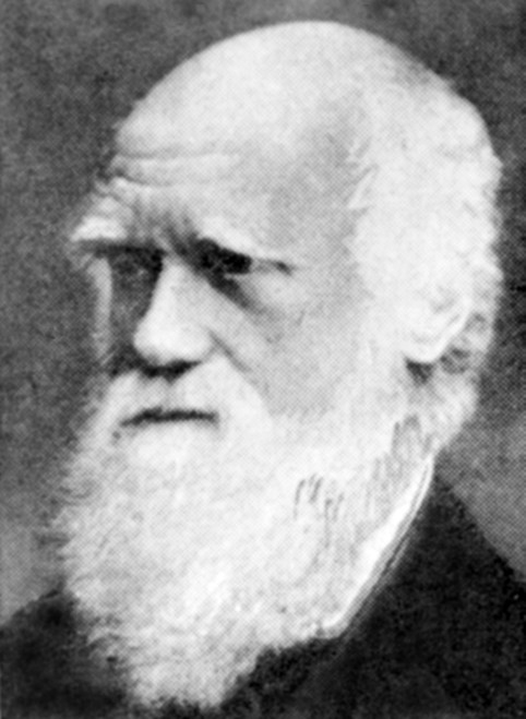 Charles Darwin History - Item # VAREVCPBDCHDACS003