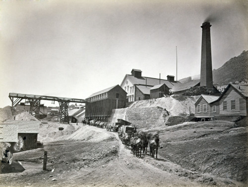 Savage Works Mill History - Item # VAREVCHCDLCGCEC389