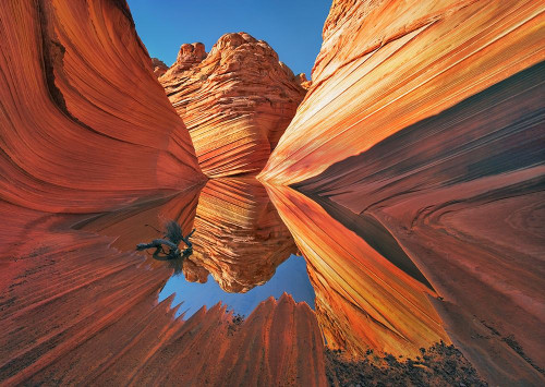 The Wave In Vermillion Cliffs, Arizona Poster Print by Krahmer Frank - Item # VARPDX3FK4218