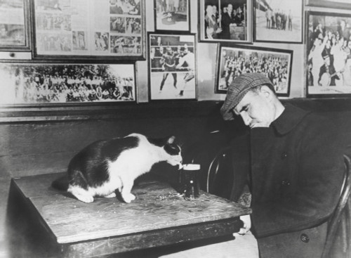 A Patron Of 'Sammy'S Bowery Follies' History - Item # VAREVCHISL038EC424