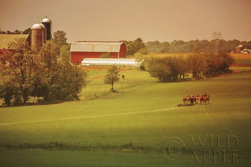 Fall Farm Poster Print by Aledanda - Item # VARPDX38288