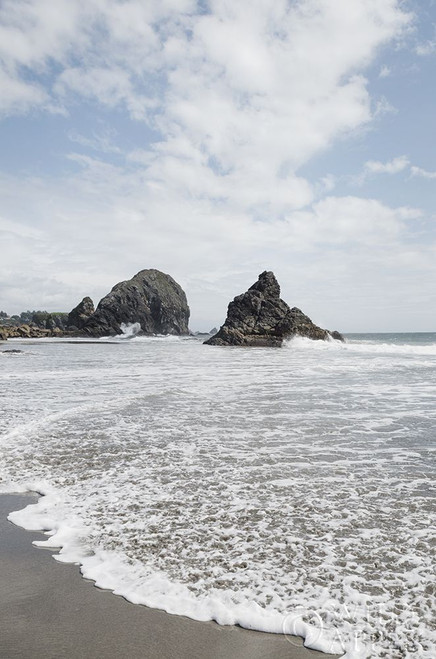 Harris Beach Oregon Poster Print by Alan Majchrowicz - Item # VARPDX36196