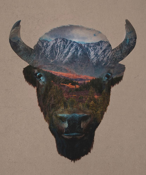 Bison Peak Poster Print by Davies Babies - Item # VARPDXD1072D