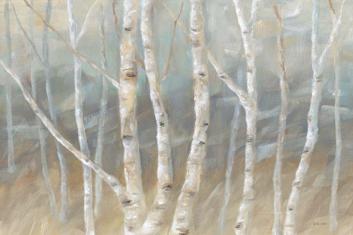 Silver Birch Landscape Poster Print by Cynthia Coulter - Item # VARPDXRB12249CC