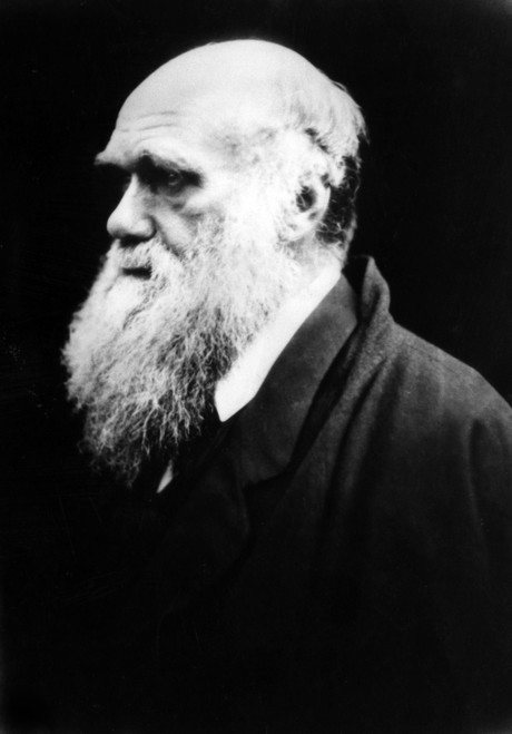 Charles Darwin History - Item # VAREVCHBDCHDACS001