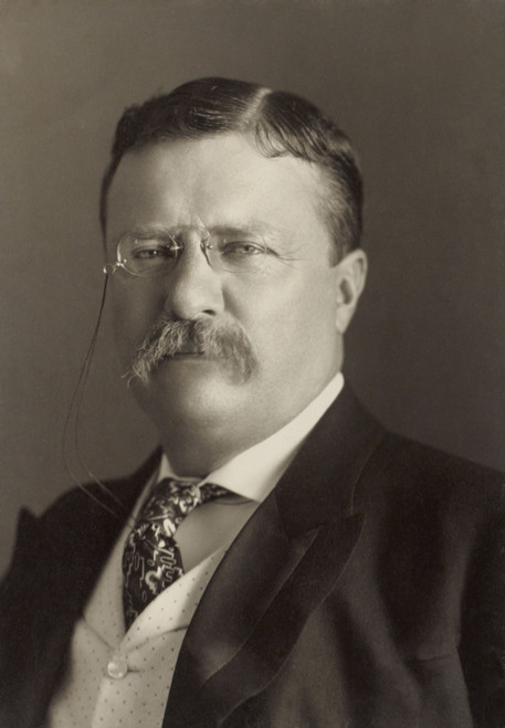 President Theodore Roosevelt History - Item # VAREVCHISL044EC974 President Theodore Roosevelt History - Item # VAREVCHISL044EC974