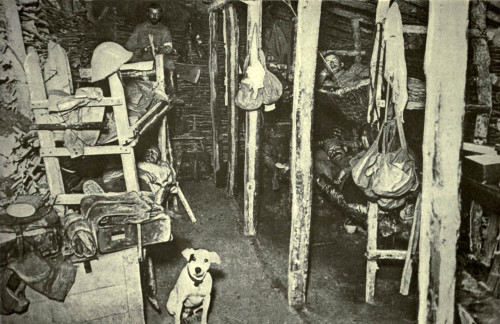 World War 1 Battle Of Verdun. One Of The Subsurface Chambers In Fortified Verdun Was Used As A Hospital. The Little Dog In The Foreground Refused To Be Separated From His Wounded Master. Ca. 1916. History - Item # VAREVCHISL044EC102