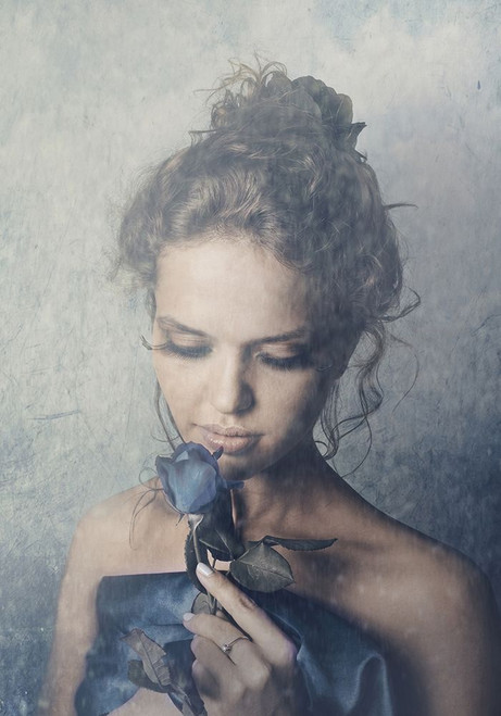 Dark Rose Poster Print by PhotoINC Studio - Item # VARPDXIN99169