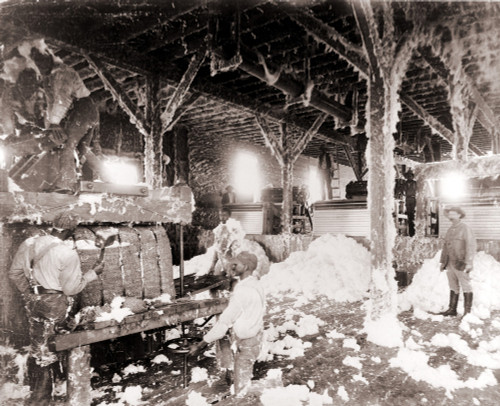 African American Men Working In A Cotton Gin At Dahomey History - Item # VAREVCHISL010EC011