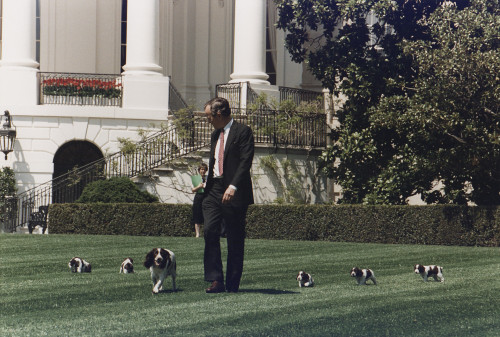 President George H.W. Bush Walks On The South Lawn Of The White House History - Item # VAREVCHCDARNAEC120 President George H.W. Bush Walks On The South Lawn Of The White House History - Item # VAREVCHCDARNAEC120