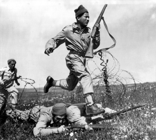 Tel Aviv History - Item # VAREVCHBDISRACS001 Tel Aviv History - Item # VAREVCHBDISRACS001