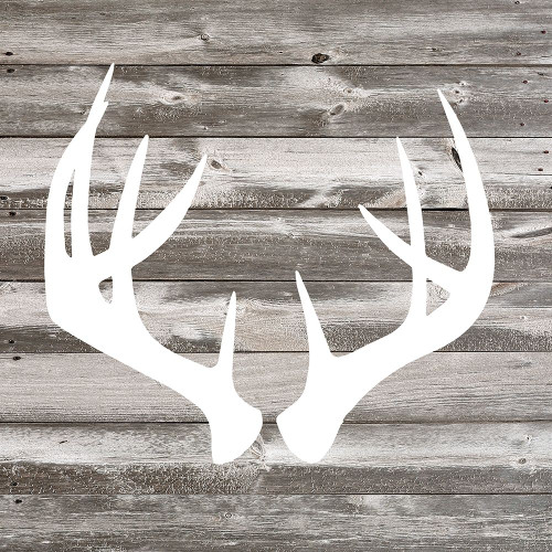 Antler Art Ii Poster Print by Tandi Venter - Item # VARPDX18470