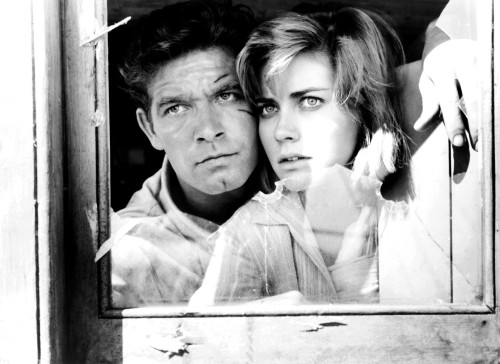 Lisa Still - Item # VAREVCMBDLISAFE009