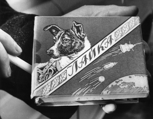 Laika The Russian Space Dog History - Item # VAREVCSBDSMOKCS005