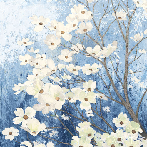 Dogwood Blossoms I Indigo Poster Print by James Wiens - Item # VARPDX23972