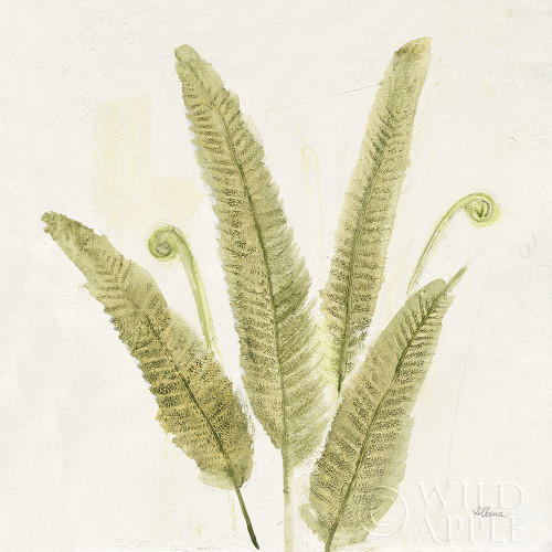 Forest Ferns Ii V2 Poster Print by Albena Hristova - Item # VARPDX36988