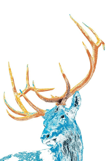 Antlers And All Poster Print by Marvin Pelkey - Item # VARPDXPOD60375