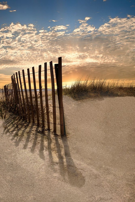 Dune Fence At Sunrise Poster Print by Celebrate Life Gallery - Item # VARPDXVDP126