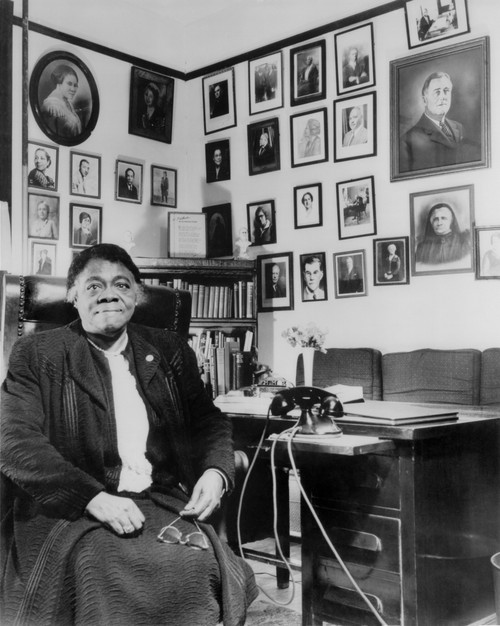Dr. Mary Bethune Educator And New Deal Era Civil Rights Activist History - Item # VAREVCHISL011EC204