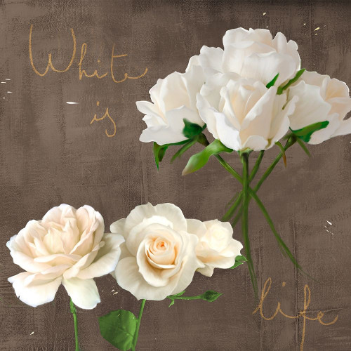 White Roses Poster Print by Teo Rizzardi - Item # VARPDX1TR4157