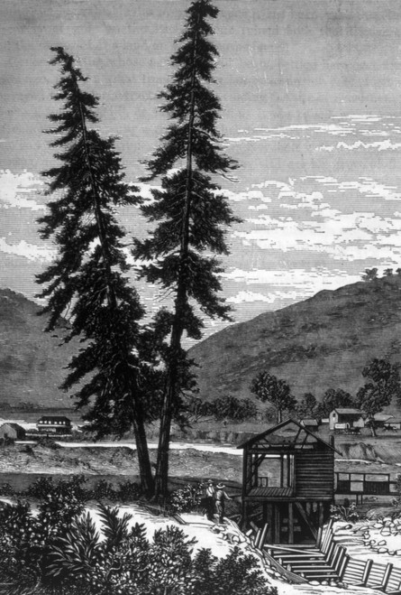 The Gold Rush History - Item # VAREVCH4DGORUEC008