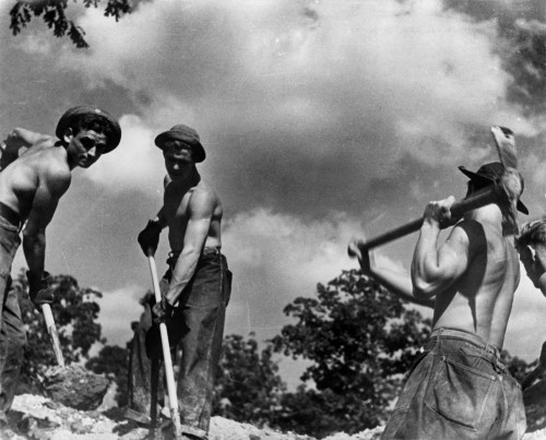 Civilian Conservation Corps Boys At Work History - Item # VAREVCHCDLCGAEC837
