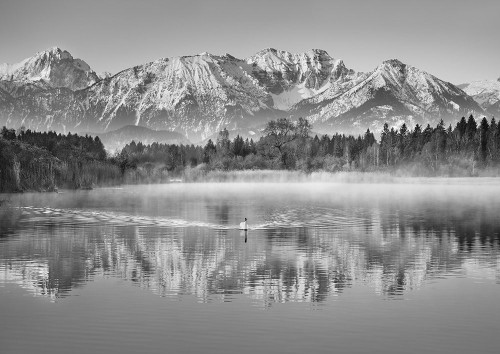 Allgaeu Alps And Hopfensee Lake, Bavaria, Germany Poster Print by Krahmer Frank - Item # VARPDX3FK4224