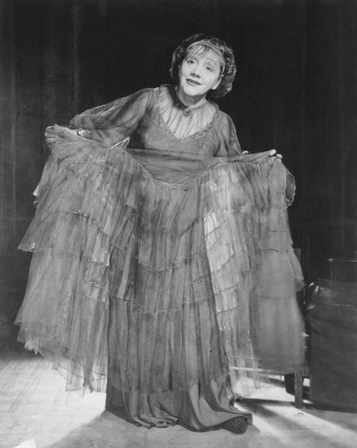 The Glass Menagerie Portrait - Item # VAREVCDBDGLMEEC010