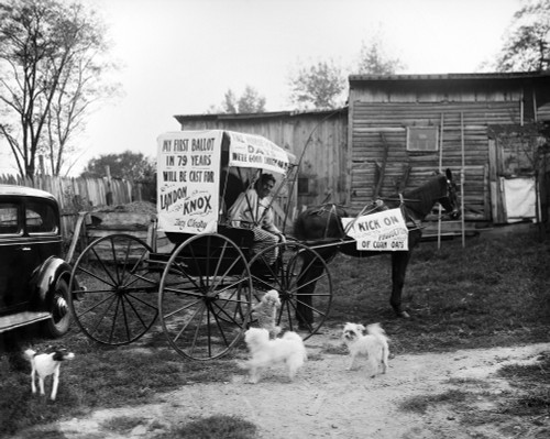 Mrs. Lucy O'Leary History - Item # VAREVCHISL040EC442