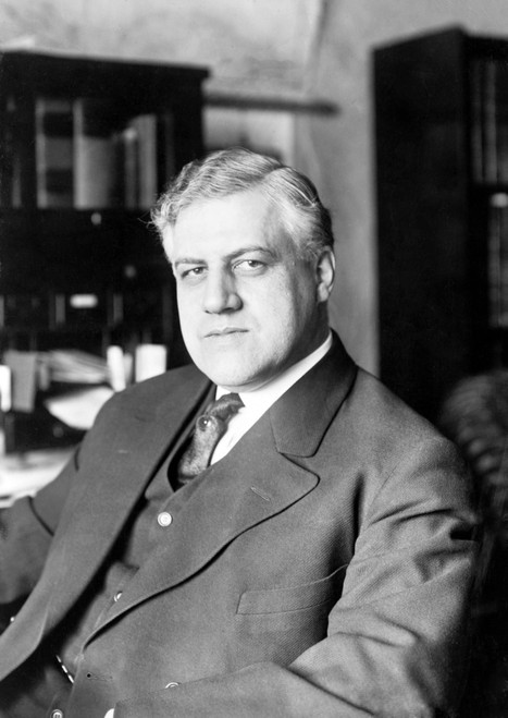 A. Mitchell Palmer History - Item # VAREVCHCDLCGCEC719