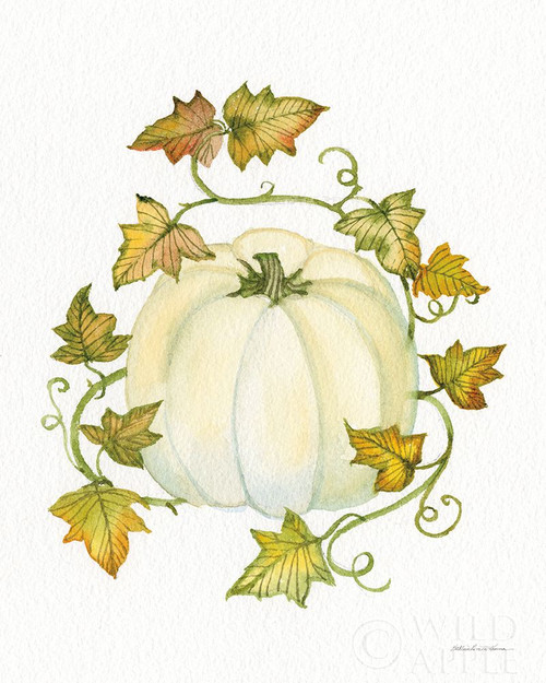 Pumpkin And Vines Iii Poster Print by Kathleen Parr McKenna - Item # VARPDX38711