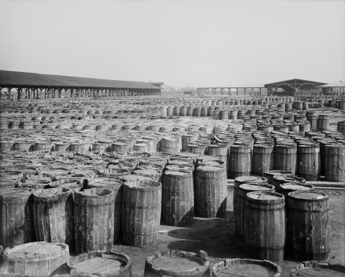 Hundreds Of Barrels On The Wharf Of Savannah History - Item # VAREVCHISL021EC290