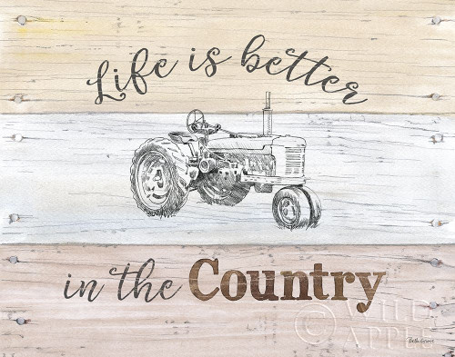 Farmhouse I Poster Print by Beth Grove - Item # VARPDX37589