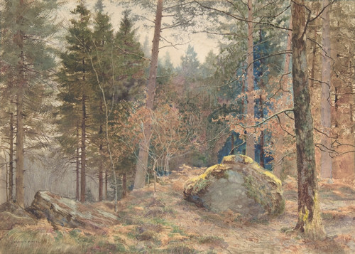 In A Welsh Pine Wood Fine Art - Item # VAREVCHISL045EC312