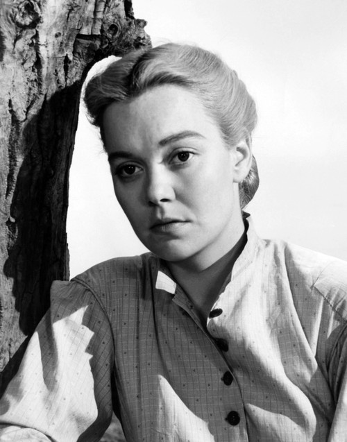 The Yearling Portrait - Item # VAREVCMBDYEAREC070