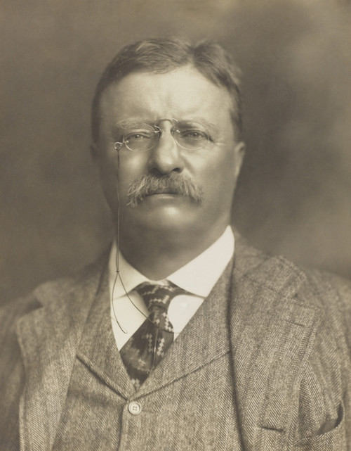 Ex-President Theodore Roosevelt Stumping For Progressive Republicans History - Item # VAREVCHISL045EC193