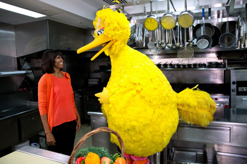 First Lady Michelle Obama With Big Bird In The White House Kitchen History - Item # VAREVCHISL039EC640