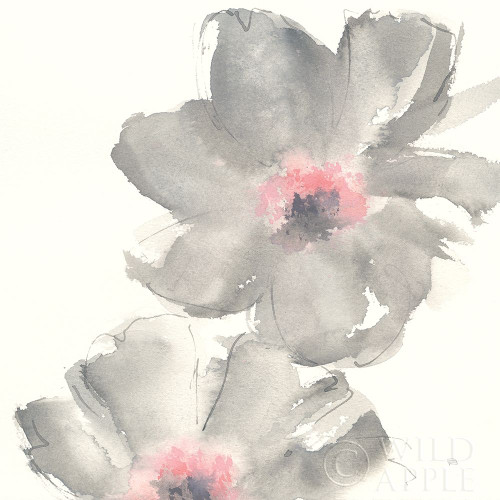 Gray Blush Cosmos Ii Poster Print by Chris Paschke - Item # VARPDX33991