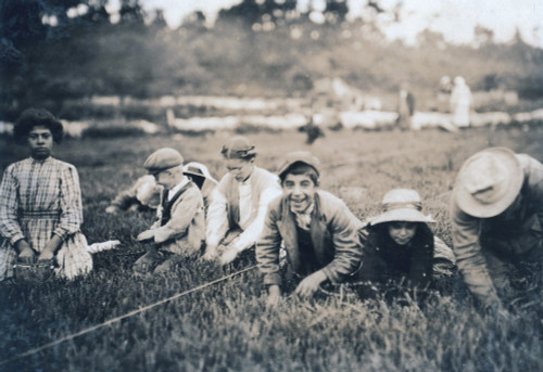 Child Labor. Syrian Children From Boston And Providence Pick Cranberries. Maple Park Bog History - Item # VAREVCHCDLCGDEC019