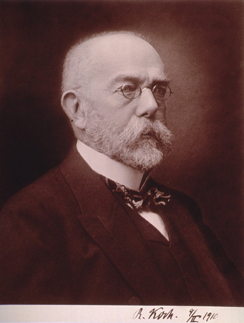 Robert Koch German Physician Discovered The Anthrax Disease Cycle History - Item # VAREVCHISL016EC032