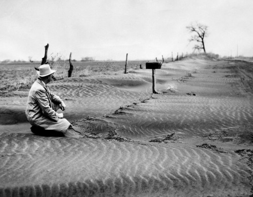 Floods Of Dust Hit Wheat Farmers History - Item # VAREVCHBDAGRICS002