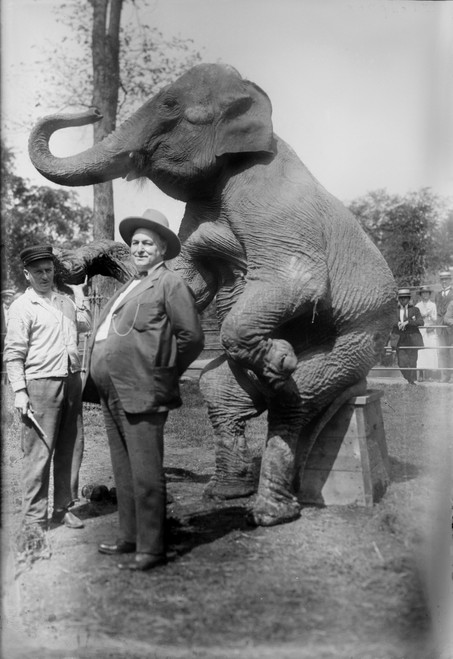 Stewart History - Item # VAREVCHCDLCGAEC463