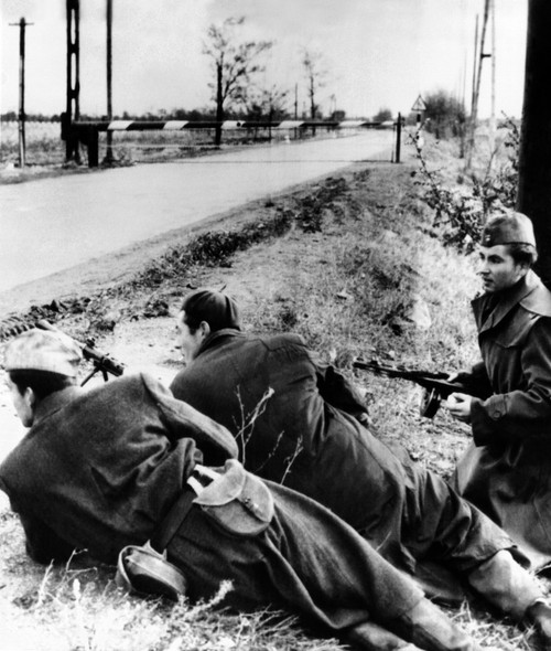 The 1956 Hungarian Uprising. Anti-Soviet Rebels History - Item # VAREVCCSUA001CS487