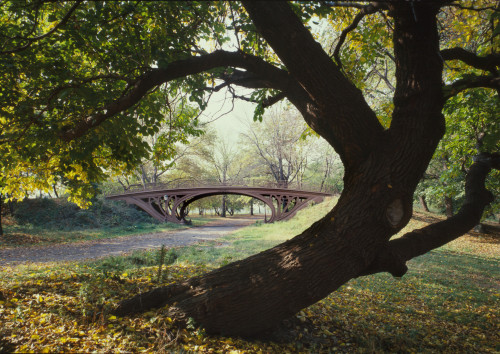 New York City History - Item # VAREVCHCDLCGAEC783