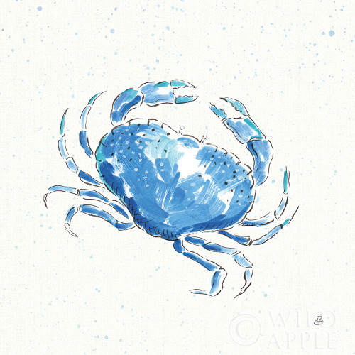 Maritime X Poster Print by Daphne Brissonnet - Item # VARPDX35208