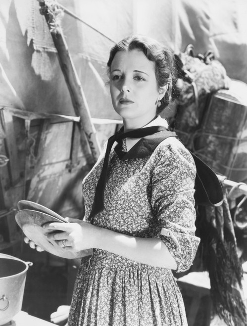 Brigham Young Portrait - Item # VAREVCMBDBRYOFE026