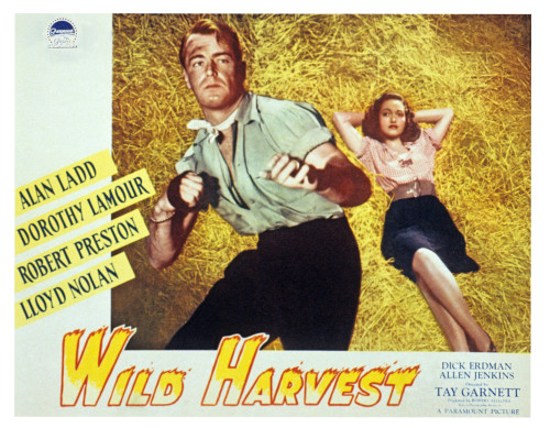 Wild Harvest Still - Item # VAREVCMSDWIHAEC007