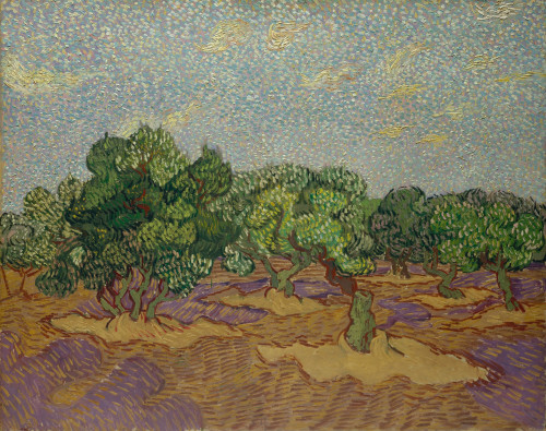 Olive Trees Fine Art - Item # VAREVCHISL044EC882