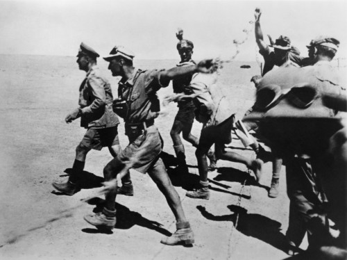 General Erwin Rommel In The Desert Near El-Alamein History - Item # VAREVCHISL038EC001